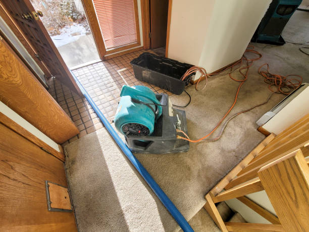 Best Basement water damage restoration  in Marion, IN