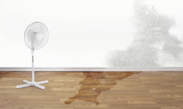 Best Flood restoration services  in Marion, IN