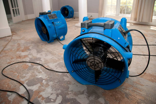 Best Water damage restoration cost  in Marion, IN