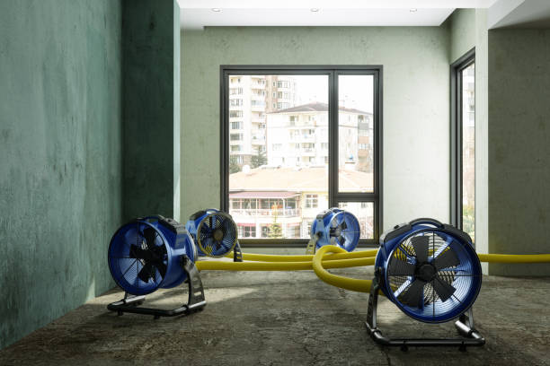 Best Ceiling water damage repair  in Marion, IN